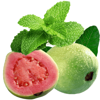 Ổi/Ổi + Bạc Hà