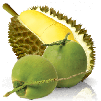 Dừa + Sầu Riêng