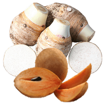 Khoai Môn + Sapoche