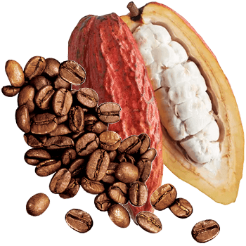 Cà Phê – Cacao đá xay